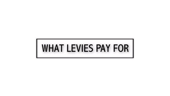 What Levies Pay For